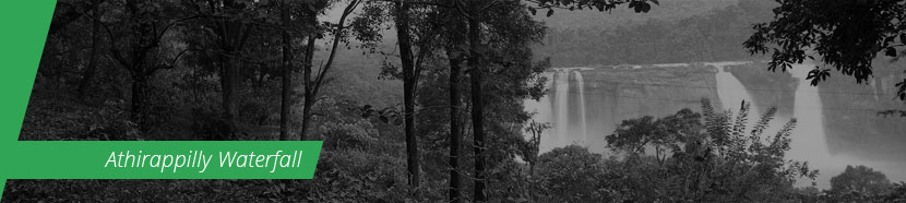 Athirappilly watter fall, Kerala 