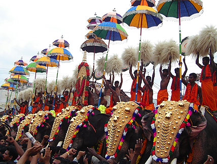 Kerala - Aanayoottu-Vadakkumnada Temple, Thrissur