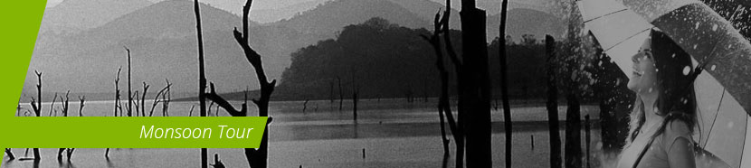 monsoon, Kerala 