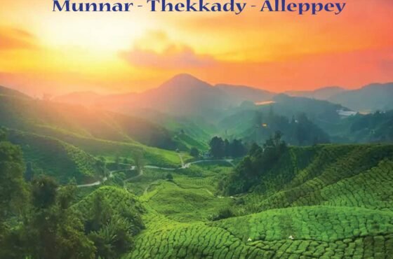 Kerala Wonderland Tour Package 4 Nights 5 Days Haven Luxury